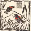 Jim Schulz - Where the Red-Winged Blackbirds Sing